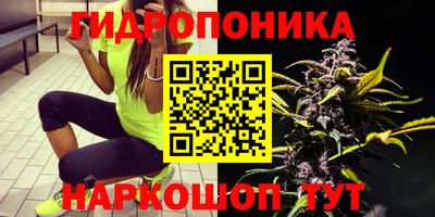амф Кунгур