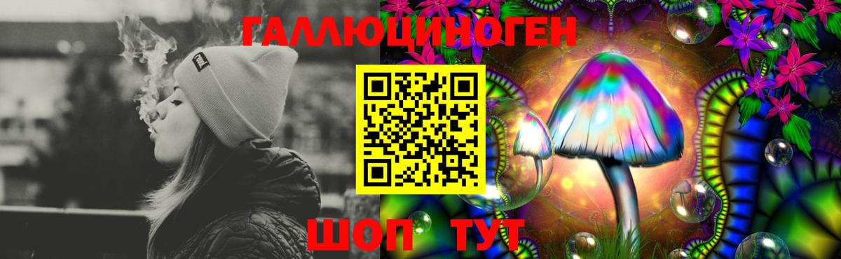 Псилоцибиновые грибы MAGIC MUSHROOMS  Галлюциногенные грибы прущие грибы  Барабинск  Вход с VPN 